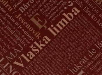 IN KULTUR - kulturnom inovacijom za rast zajednice3